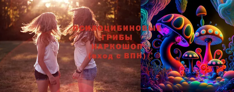 Псилоцибиновые грибы Magic Shrooms  маркетплейс состав  Ивдель 